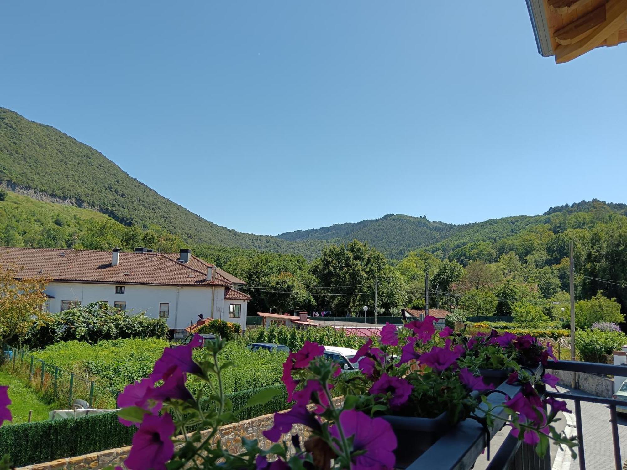 Apartament Urdaibai Mungabe